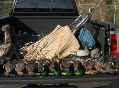 Blind #12