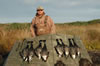 Curt Wilson Brant 09 021