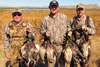 Mays, Wilson, Wells