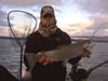Tight Lines Guides Catching Quality Trout Right Now