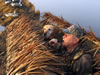 Gibson Duck Blind Covers